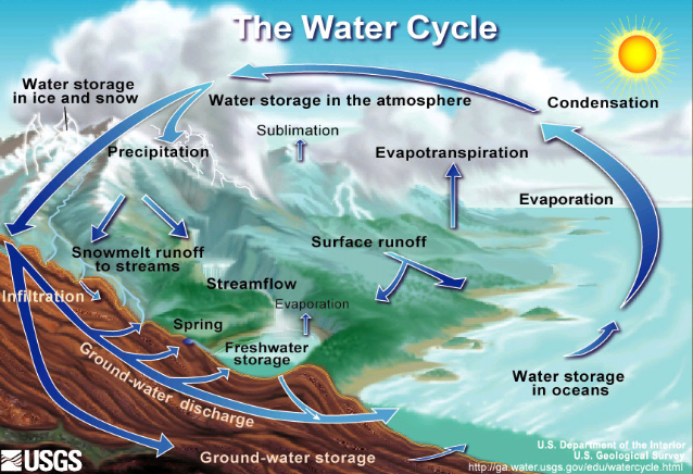 the water cycle, ecosystem
